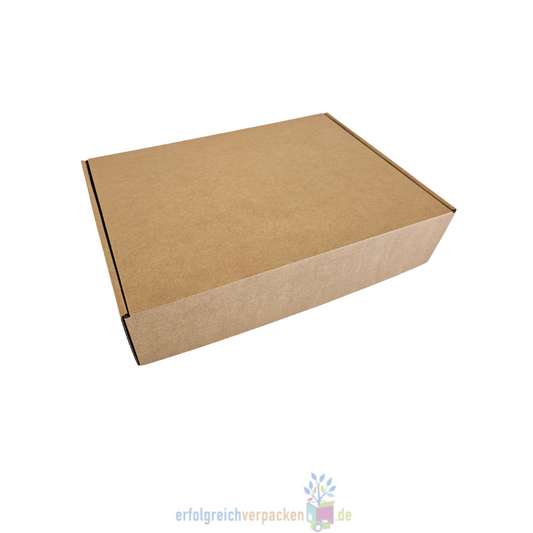 Versandkarton 330 x 242 x 76 mm Kleinpaket